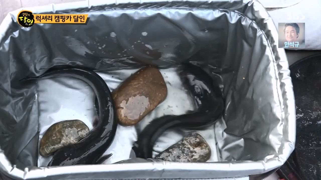 생활의 달인.E885.230425p.H264-F1RST.mp4_20230425_195031.671.jpg