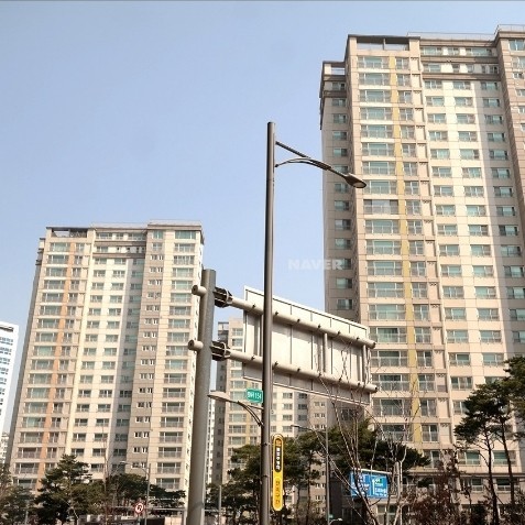 티스토리