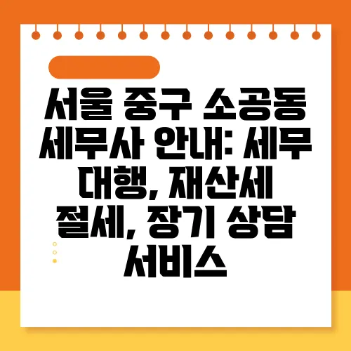 서울 중구 소공동 세무사 안내: 세무 대행, 재산세 절세, 장기 상담 서비스