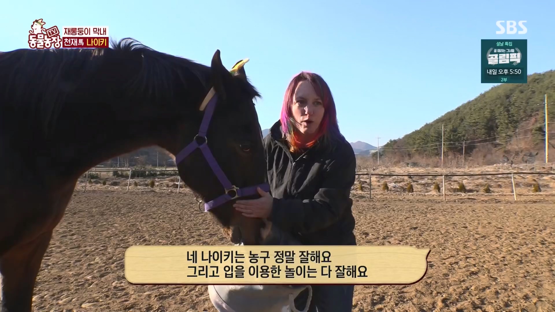 TV 동물농장.E1158.240211p.H264-F1RST.mp4_20240211_194055.765.jpg