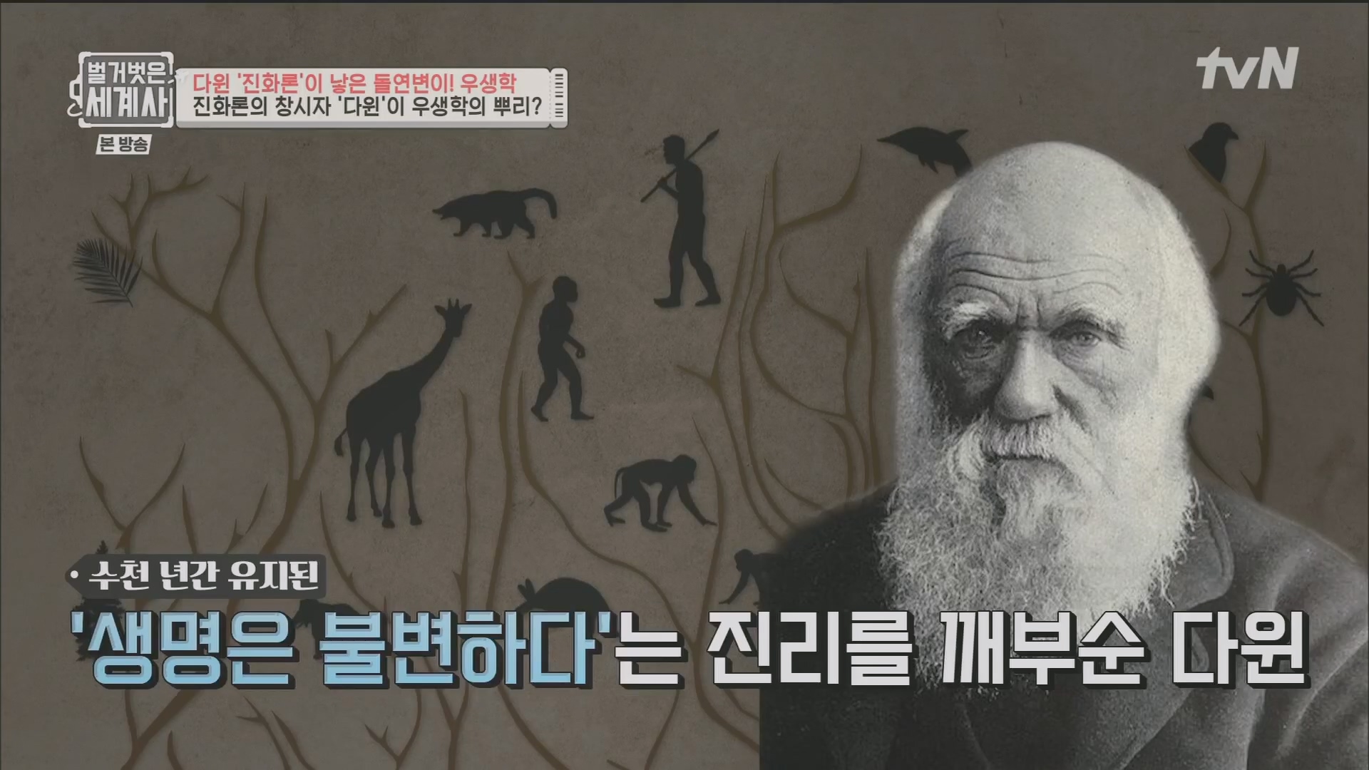 벌거벗은 세계사.E97.230502p.H264-F1RST.mp4_20231224_162120.150.jpg
