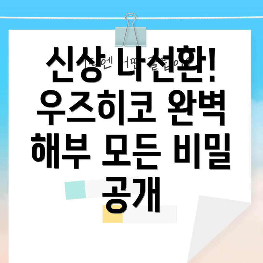 나선환우즈히코