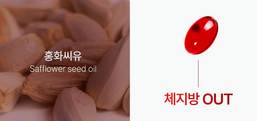 푸응 팻버닝 CLA