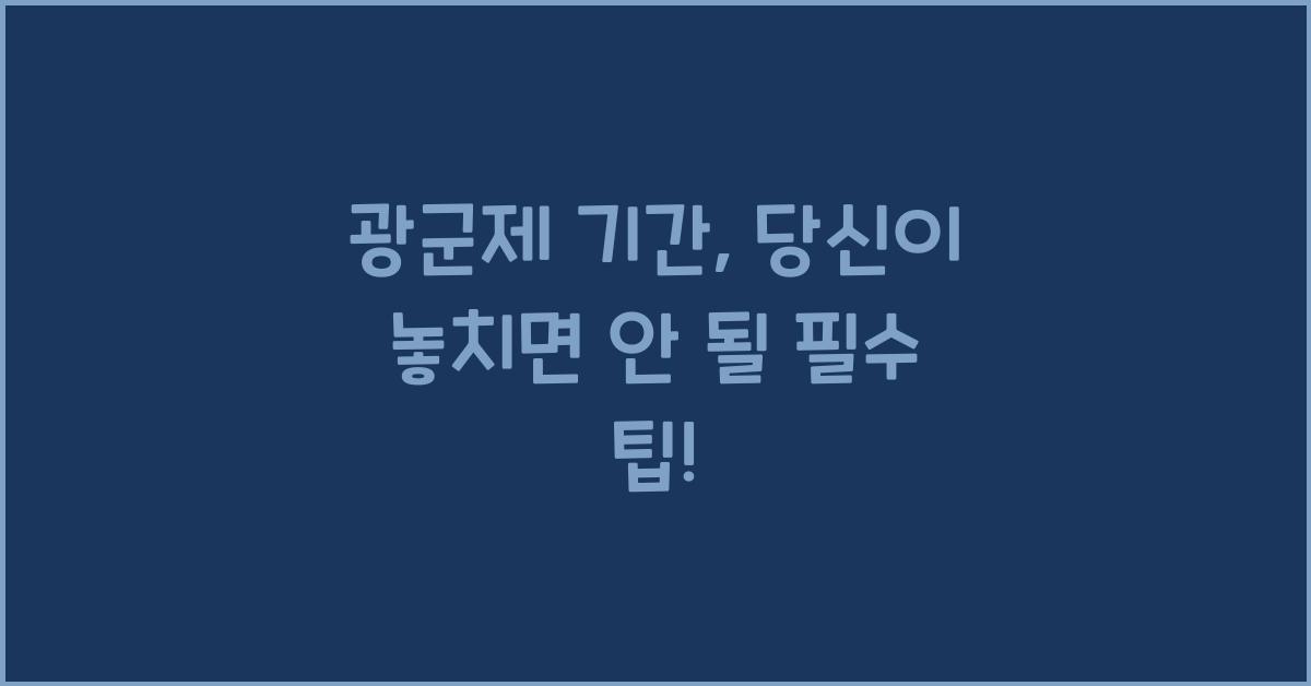 광군제 기간