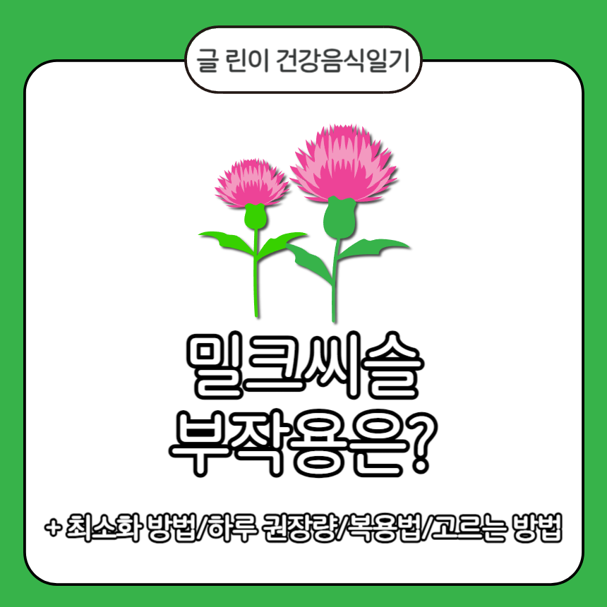  밀크씨슬 부작용은?