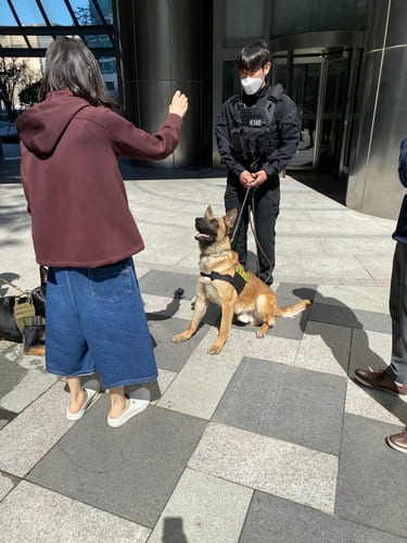  어머! 예뻐라!...당신 말고!