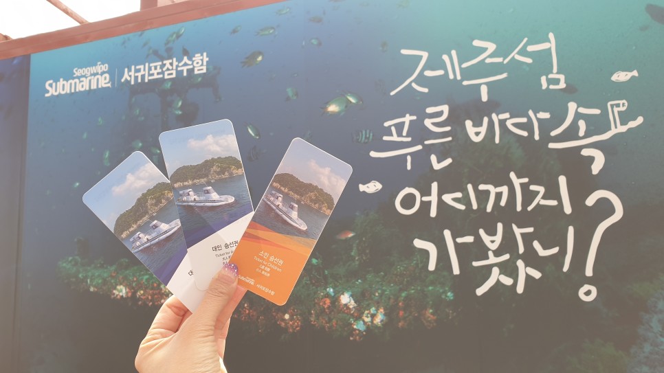 제주도 체험 이색적인 제주도 41