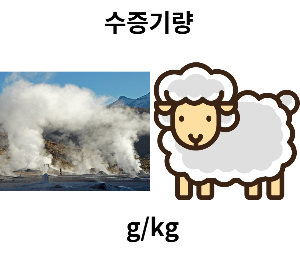  중3 과학-기권과 날씨-수증기량, 포화수증기량, 이슬점, 상대습도, 절대습도, 아침에 안개가 끼는 이유, 아침이슬 이유