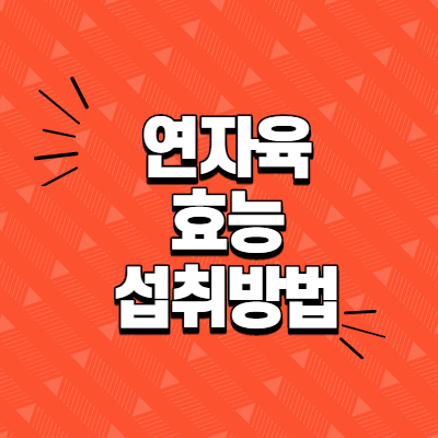  연자육 효능과 섭취방법 및 주의사항
