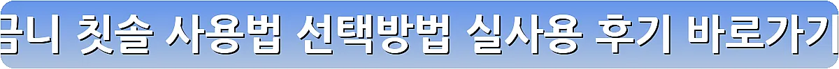 어금니 칫솔 사용법 선택방법 실사용 후기_16