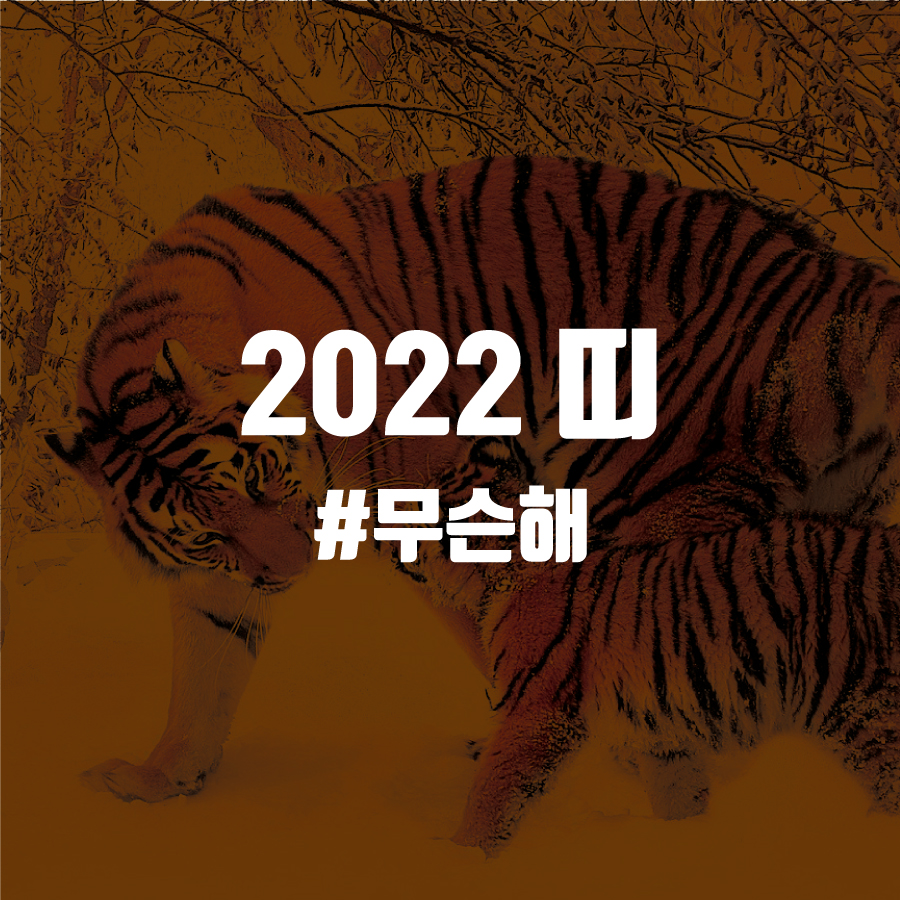 2022년 띠 무슨해 :: 칼라풀 2022년 띠 무슨해 :: 칼라풀