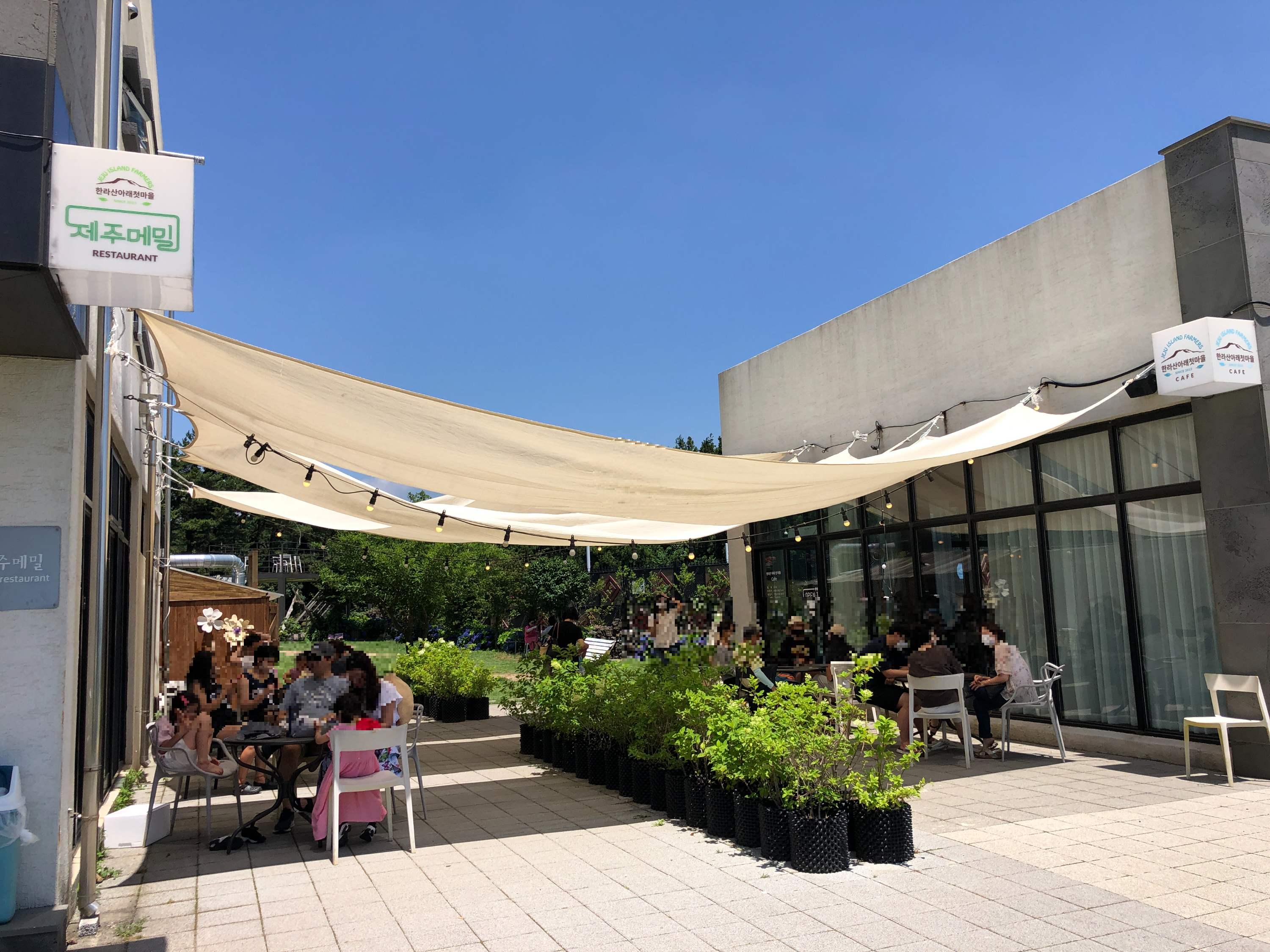 한라산아래첫마을_식당과_카페_건물들_사이에_타프가_쳐져있고_아래에_테이블과_의자에서_손님들이_쉬고있다