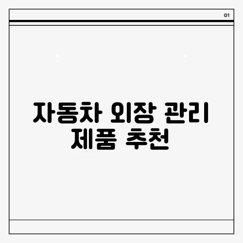 자동차 외장 관리 제품 추천