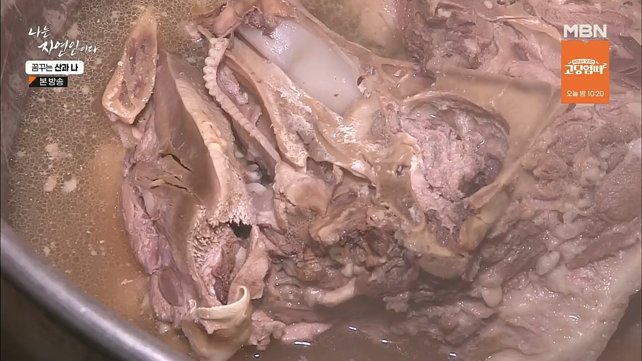 나는 자연인이다.E534.221229p.H264-F1RST.mp4_20221229_200037.850.jpg