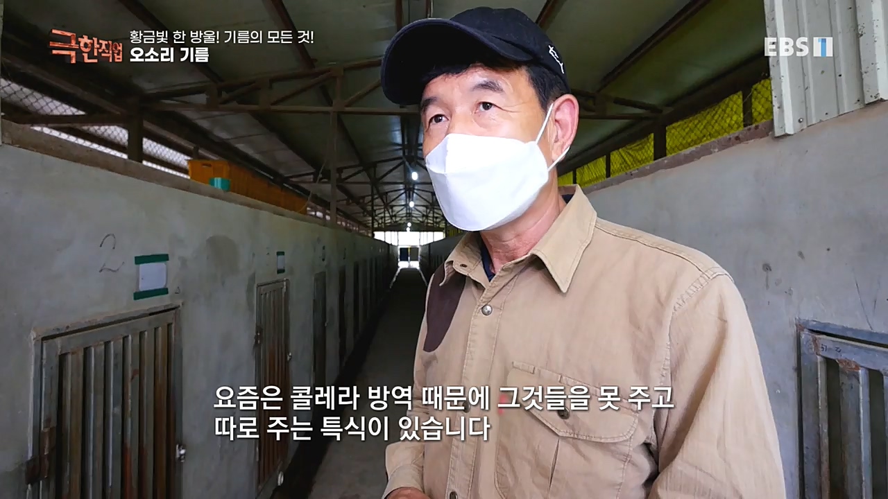 TV - 교육의 중심 EBS황금빛 한 방울! 기름의 모든 것!.mp4_20221031_191543.164.jpg
