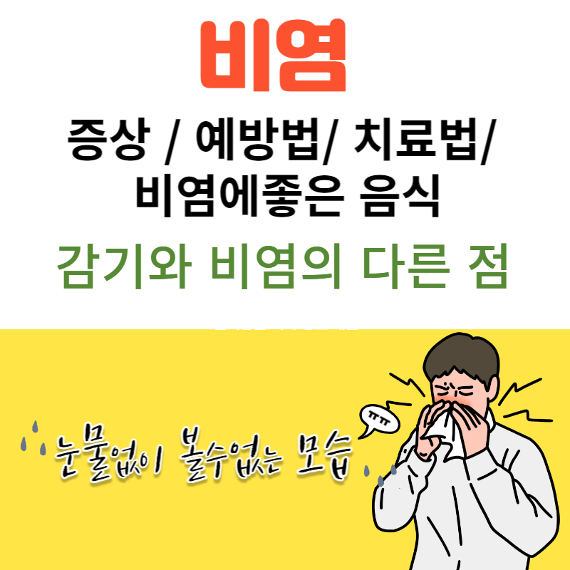  비염의 증상 예방과 치료 비염에 좋은 음식 감기와 다른 점