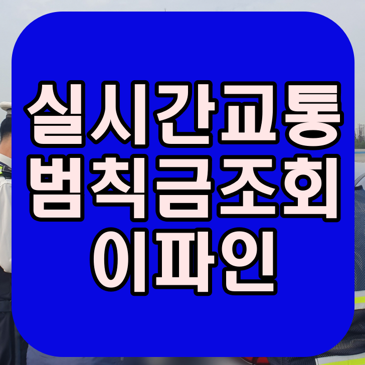  실시간 교통범칙금 조회 이파인 사이트로 한번에