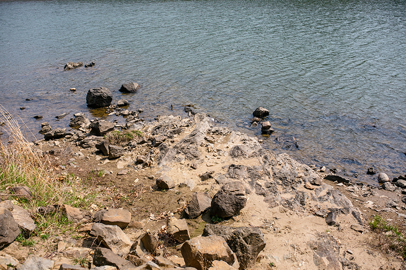 바위가 많은 임진강 변.