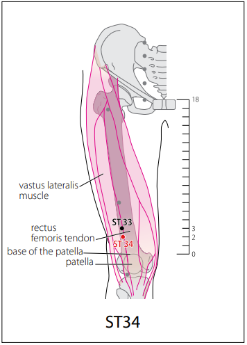 족양명위경 (ST) > ST34 양구 (梁丘) 1