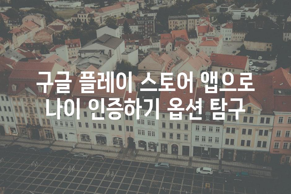 구글 플레이 스토어 앱으로 나이 인증하기 옵션 탐구