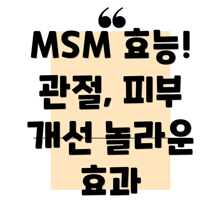 MSM 효능