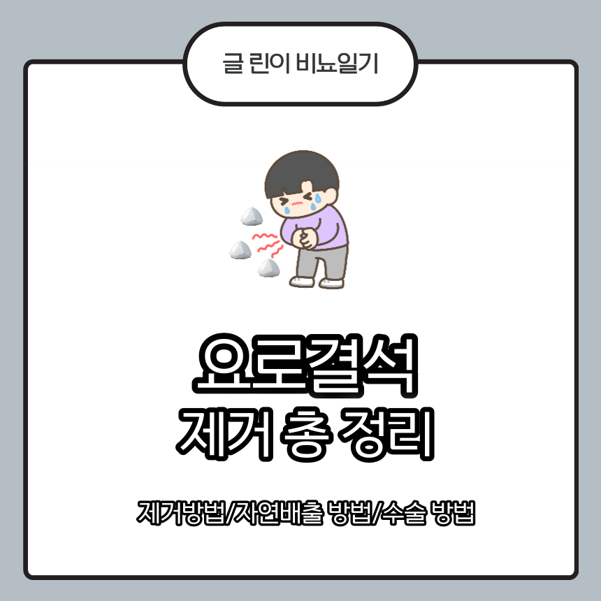  요로결석 제거 총 정리 : 제거 방법/자연배출 방법/수술 방법 + 비용