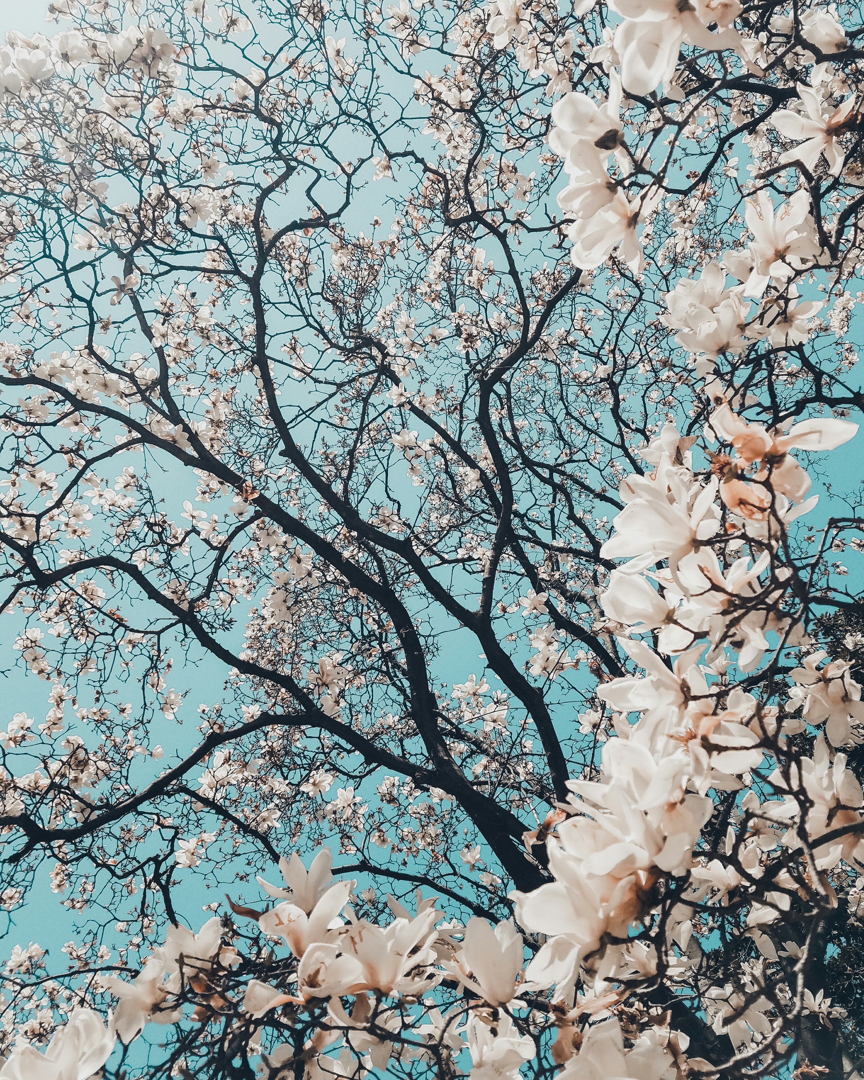 영국 직구 관세 알아보기 - FAQ - 모든 영역 영국 직구 관세 알아보기 - FAQ - 모든 영역