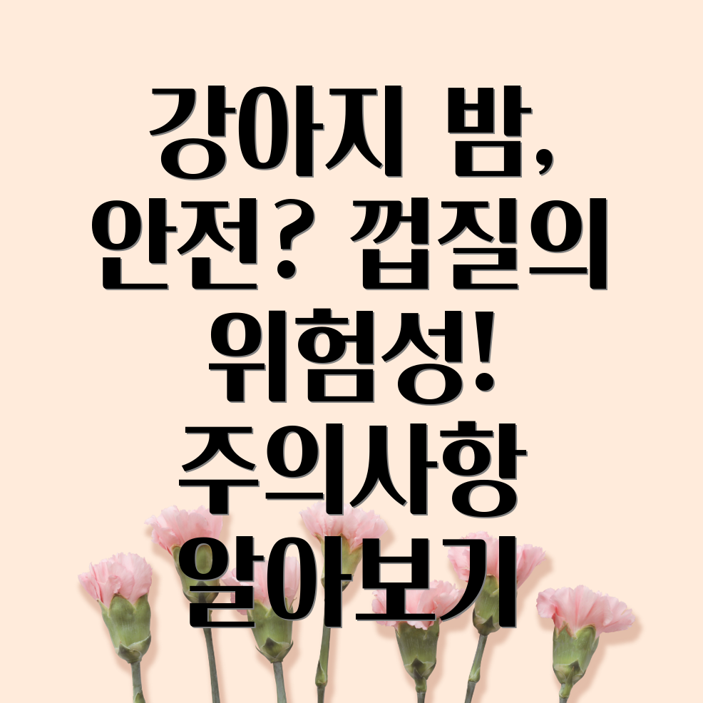 강아지 밤