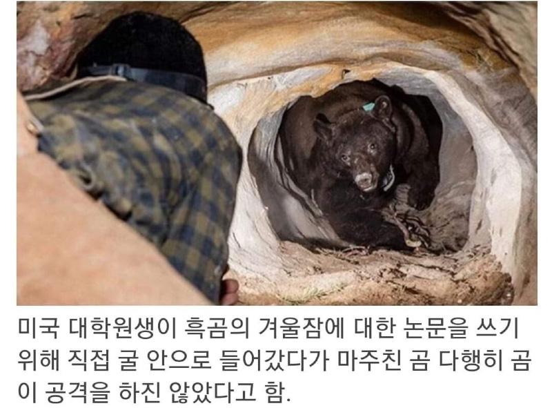  미국 대학원생 레전드와 국민대