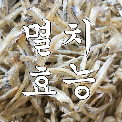  멸치 효능