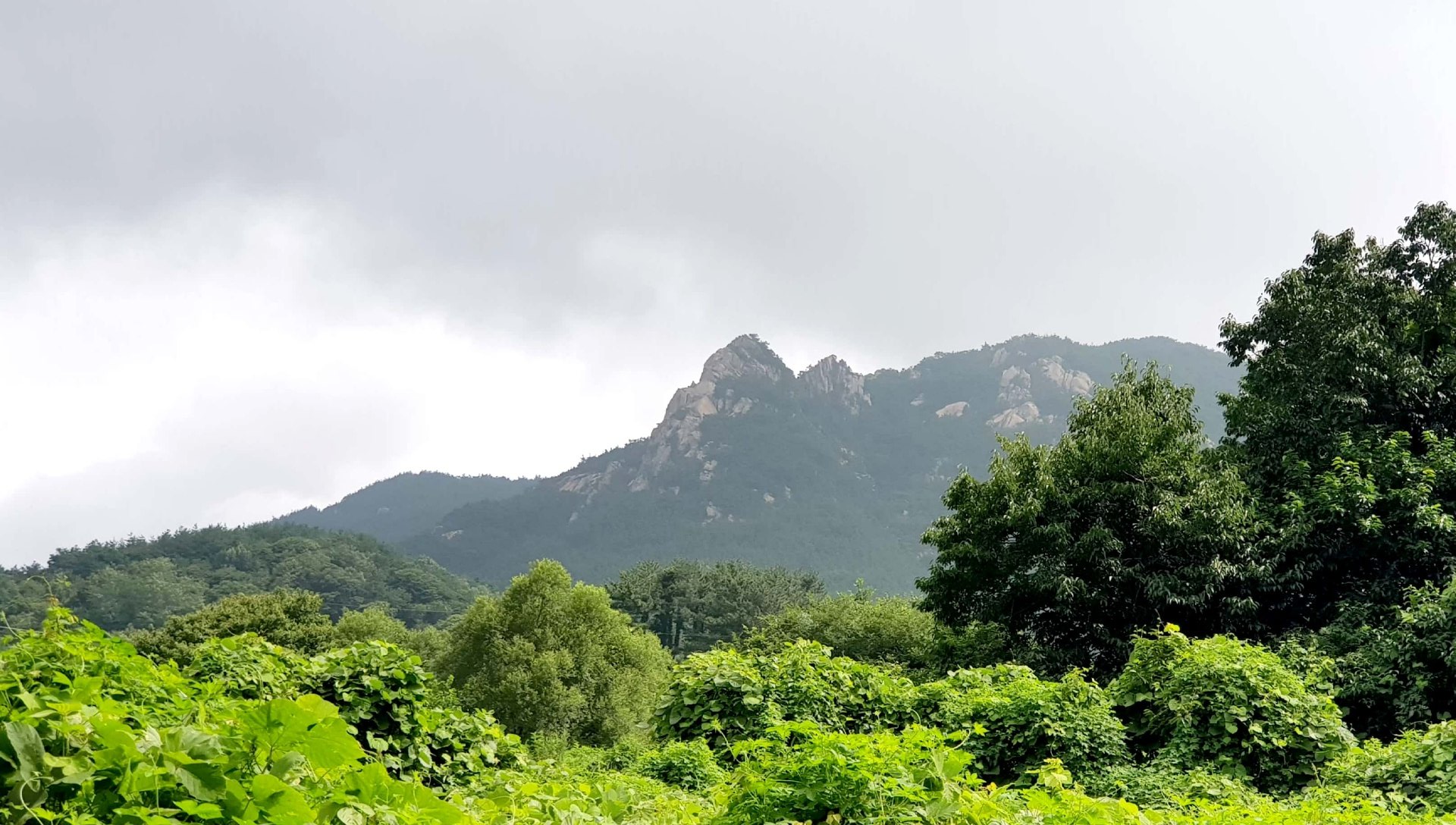 경남 산청 감암산