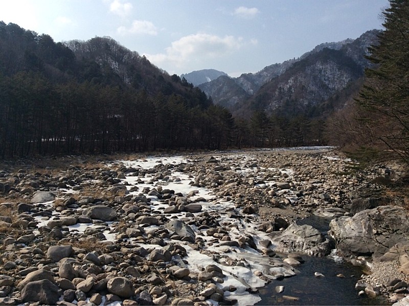  인제 설악산 수렴동·구곡담 계곡 일원&먹거리