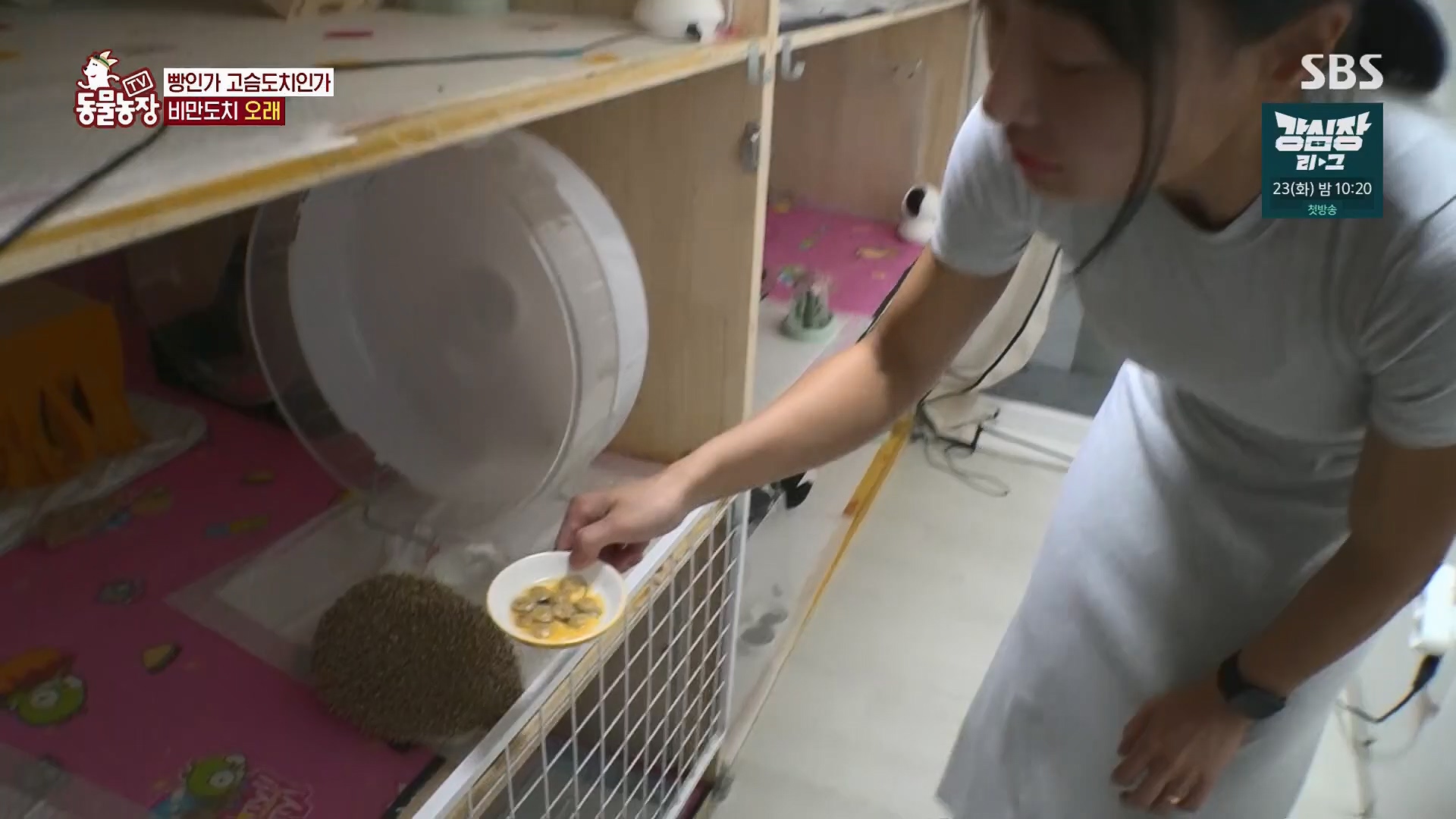 TV 동물농장.E1120.230514p.H264-F1RST.mp4_20230515_203532.951.jpg