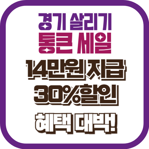 경기 살리기 통큰 세일, 14만원 지급 30%할인