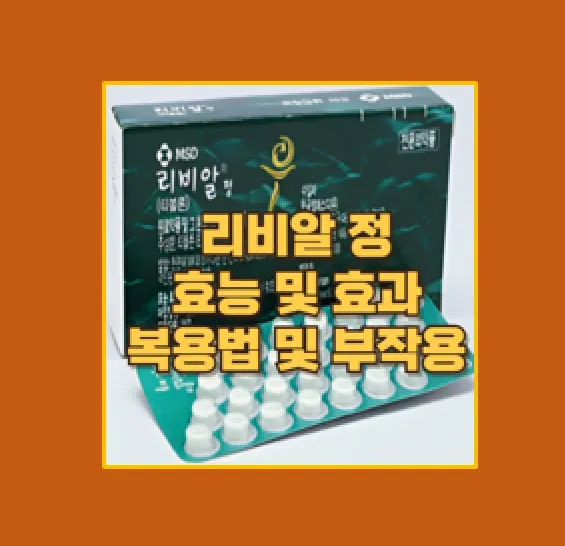 리비알정의 효과와 올바른 복용법