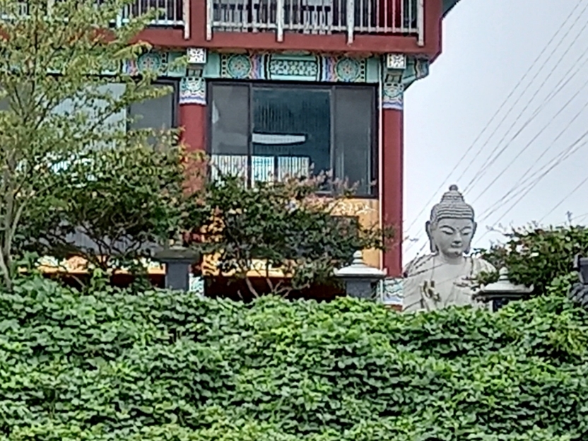 img.jpg