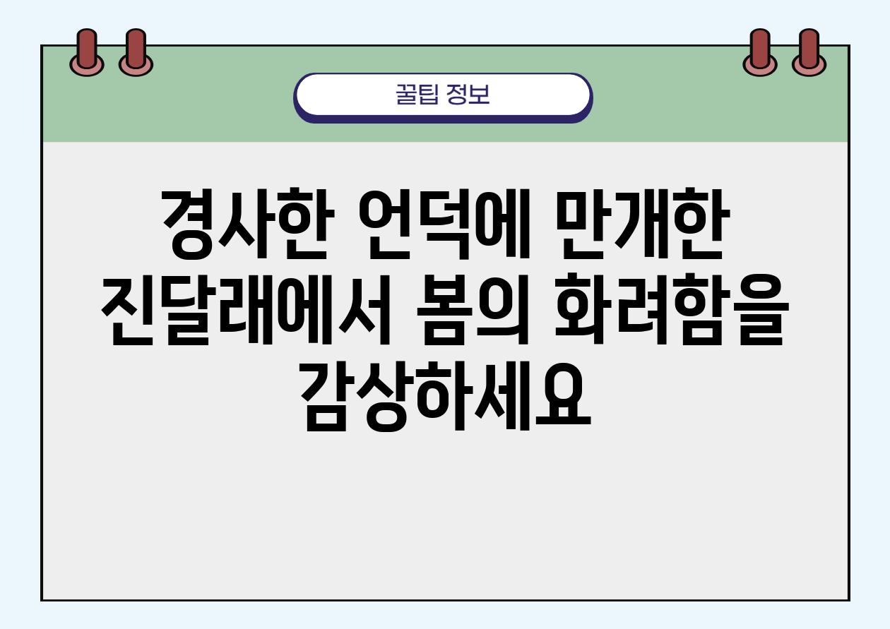 경사한 언덕에 만개한 진달래에서 봄의 화려함을 감상하세요