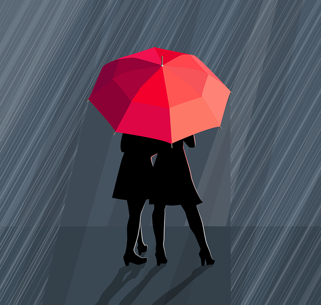 호우주의보 행동 요령