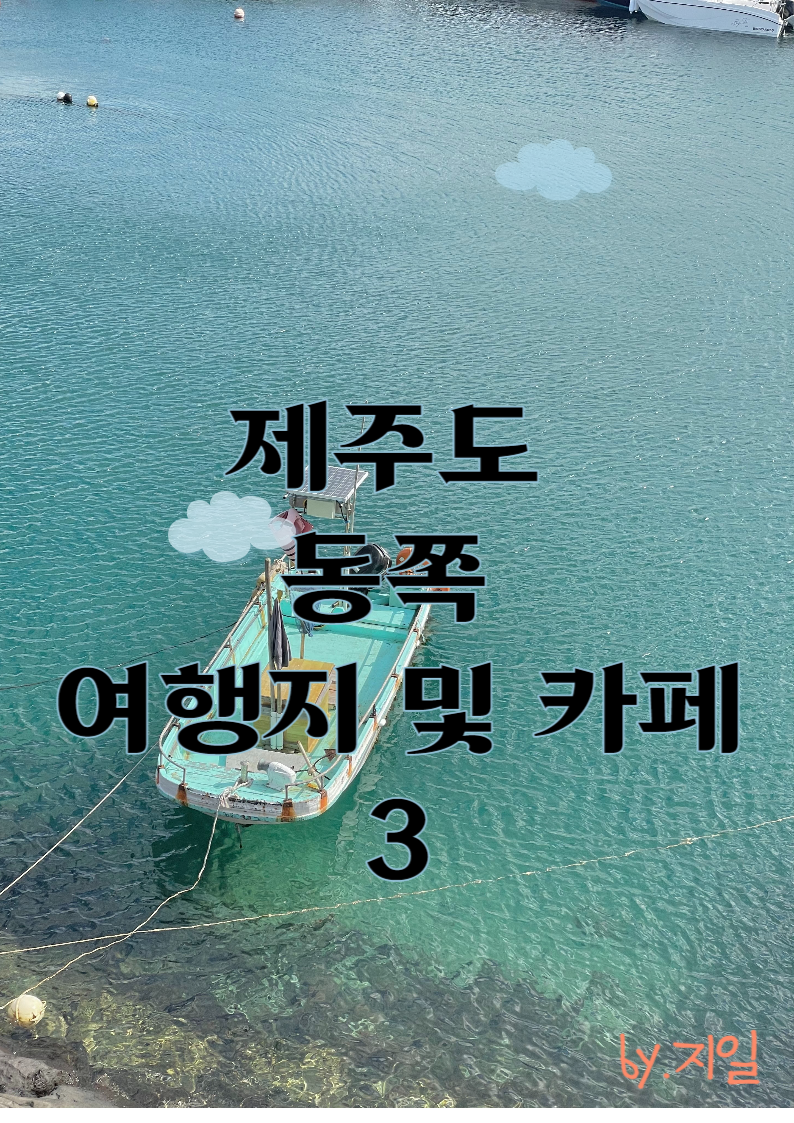  제주도 동쪽 여행지 추천(3) 5곳(비자림, 스누피가든, 수산한못, 천미천,카페세바)