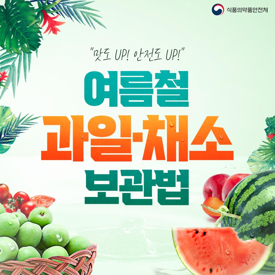 과일채소 이미지