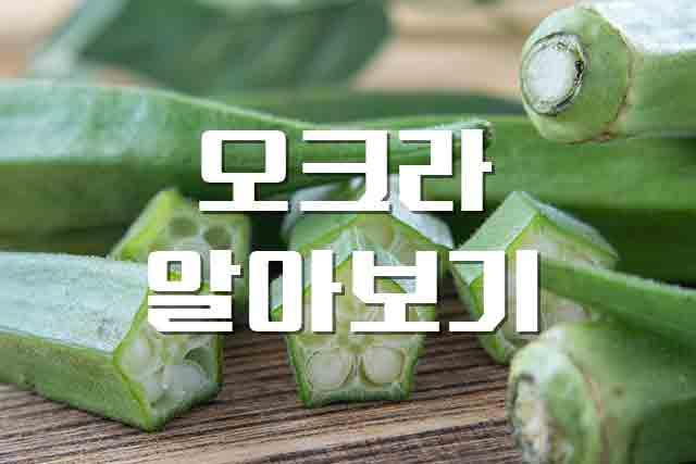 오크라, 끈적끈적 뮤신을 가득 품은 오크라