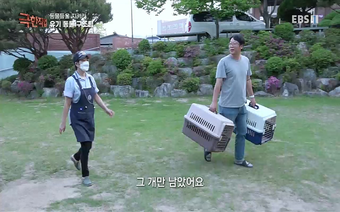 TV - 교육의 중심 EBS동물들을 지켜라, 수의사와 유기 동물 구조팀.mp4_20220913_200157.952.jpg