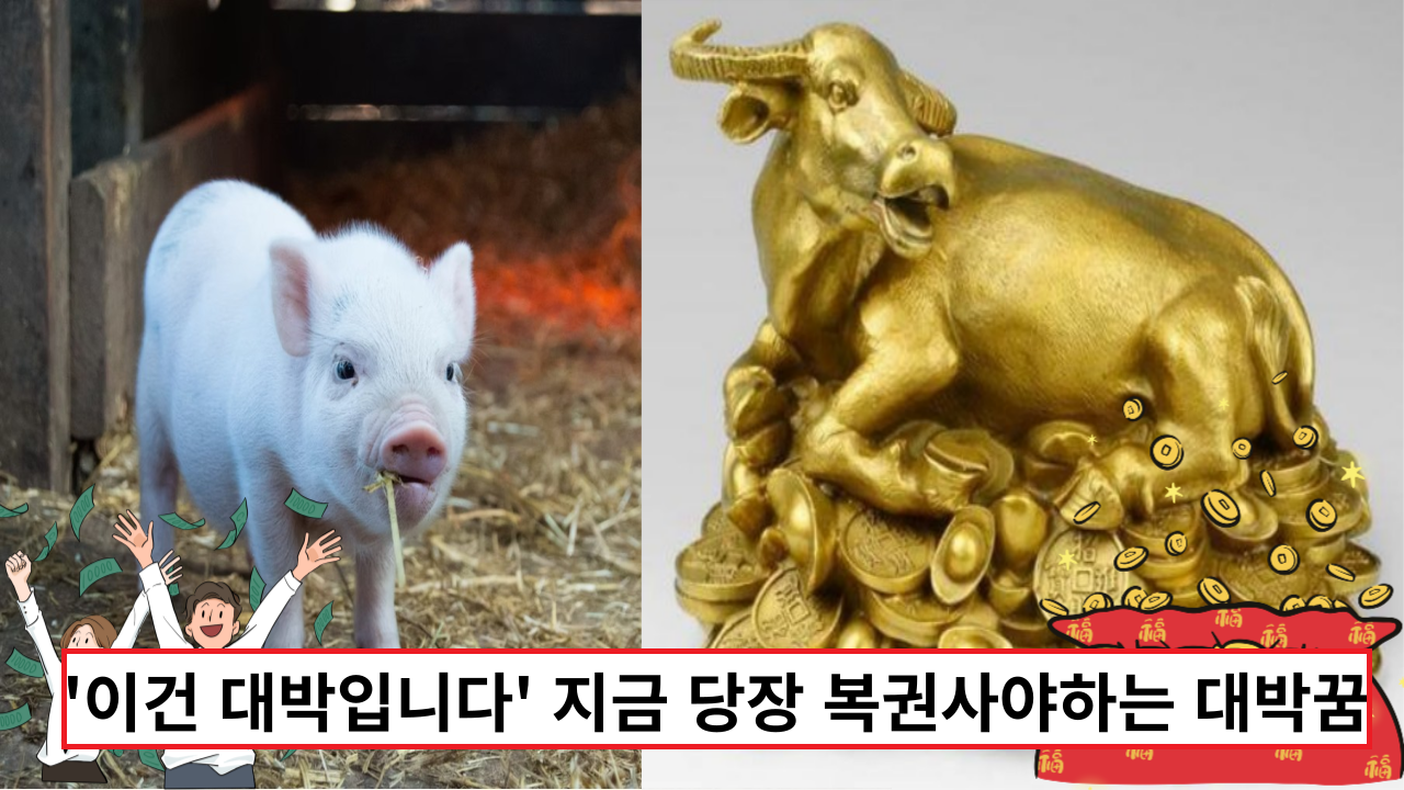  '이건 대박입니다' 지금 당장 복권사야하는 대박꿈