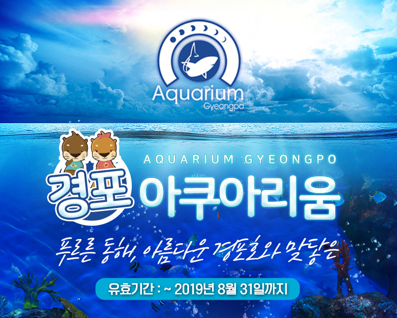  강릉여행 // 푸른 비다와 맞닿은 아쿠아리움 경포, 경포아쿠아리움 즐기기