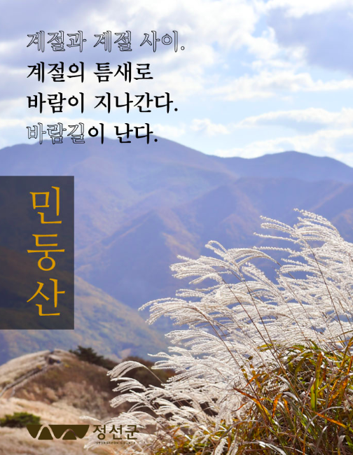 정선 민둥산