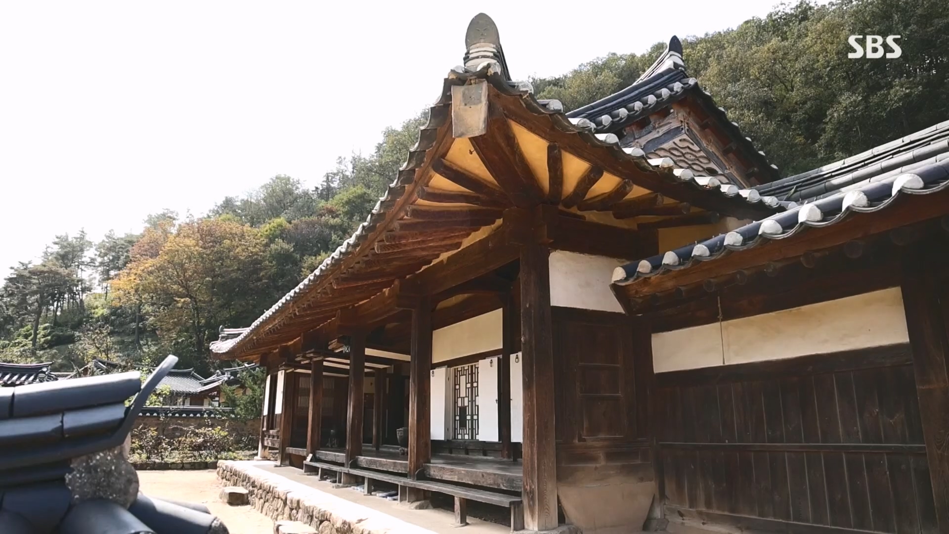 일요 특선 다큐멘터리.E327.231105p.H264-F1RST.mp4_20231105_165421.533.jpg