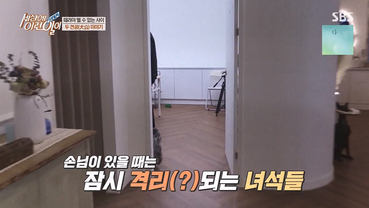 순간포착 세상에 이런일이.E1228p-NEXT.mp4_20230503_200104.837.jpg