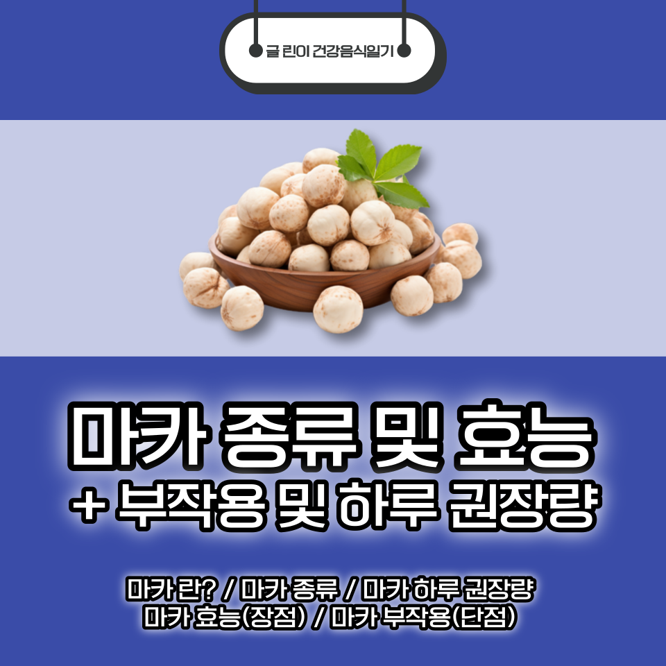 마카
마카 효능
마카 종류
마카 부작용
마카 권장량