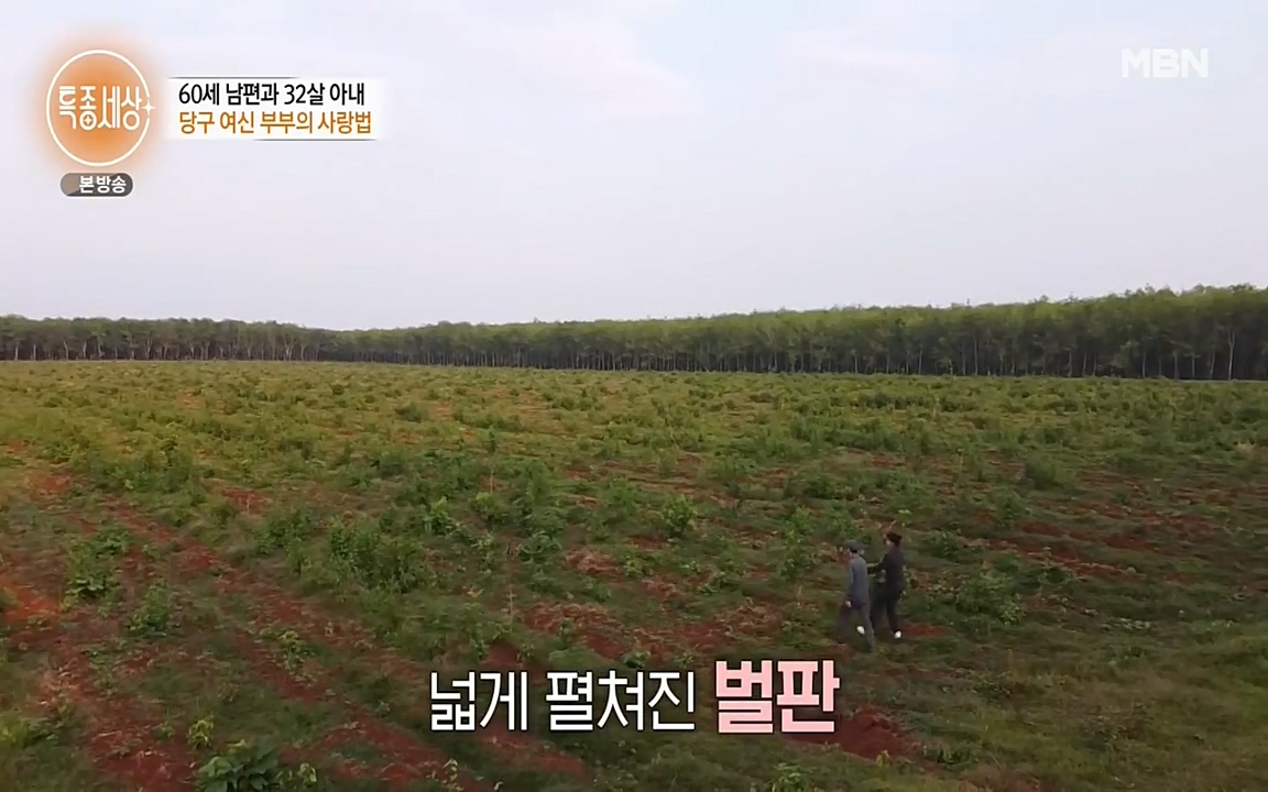 현장르포 특종세상.E528.220429p-NEXT.mp4_20220429_191938.589.jpg