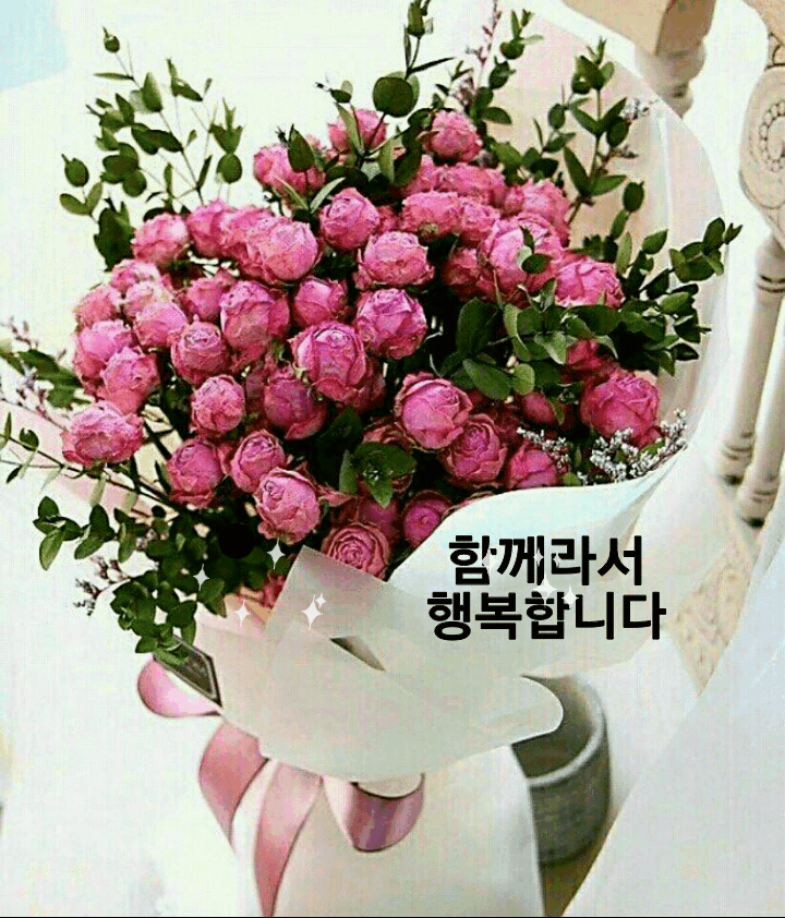  오늘의 좋은글 262번째 뇌가 젊어져야 하고자 하는 일을 더 잘 하고 목표한 것을 이루기 쉬워집니다